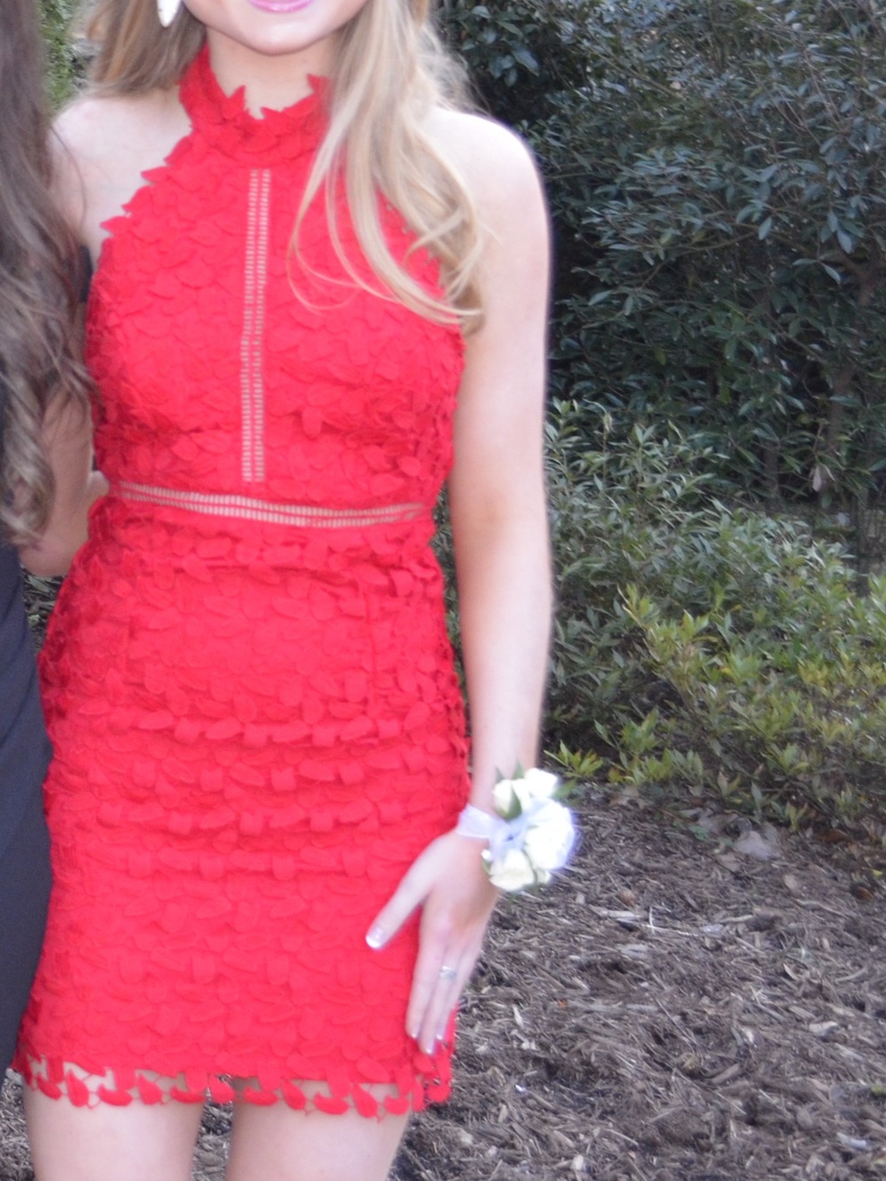 Bardot Bright Red Lace Halter Dress